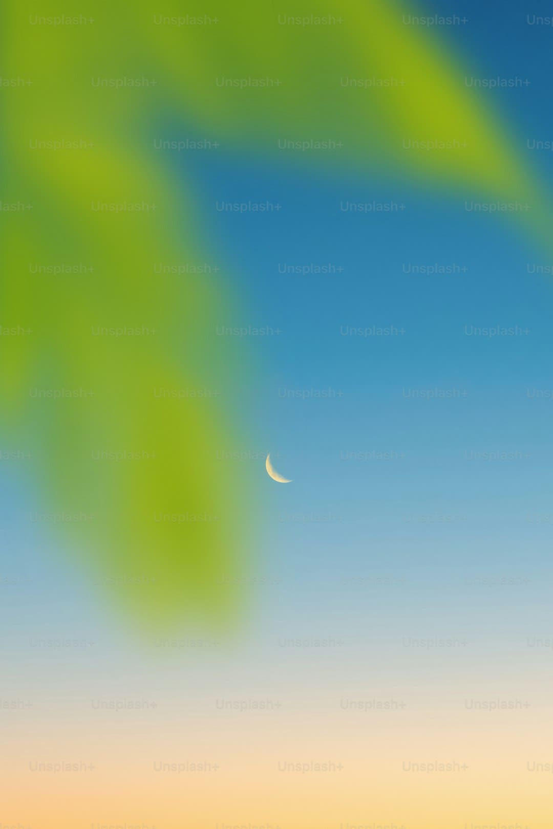 青平:暑期针对未成年人网络欺诈高发,怎么筑牢防护堤堰